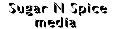 Sugar N Spice Media